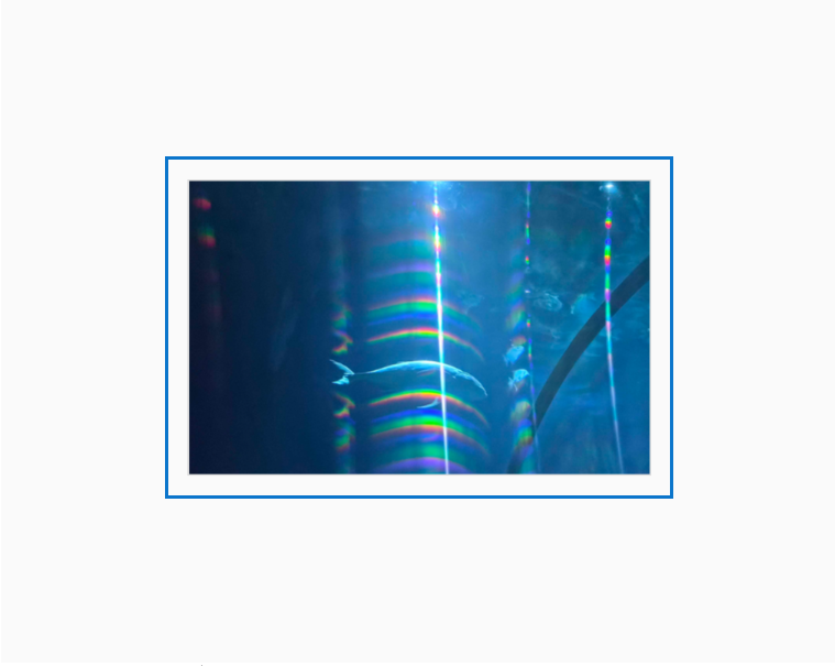 A photograph of a fish through diffraction grating