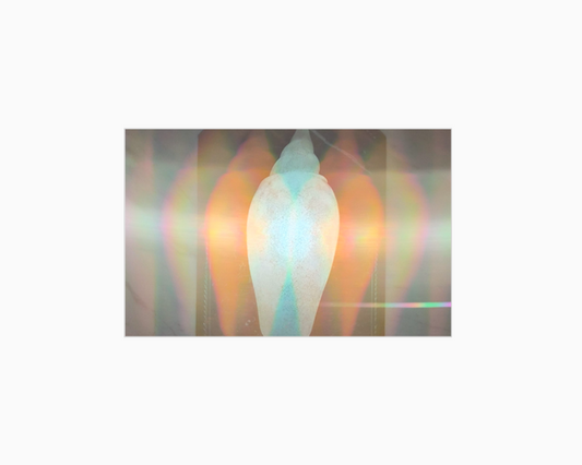 "This Isn't My Floor"