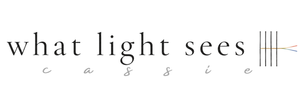 What Light Sees