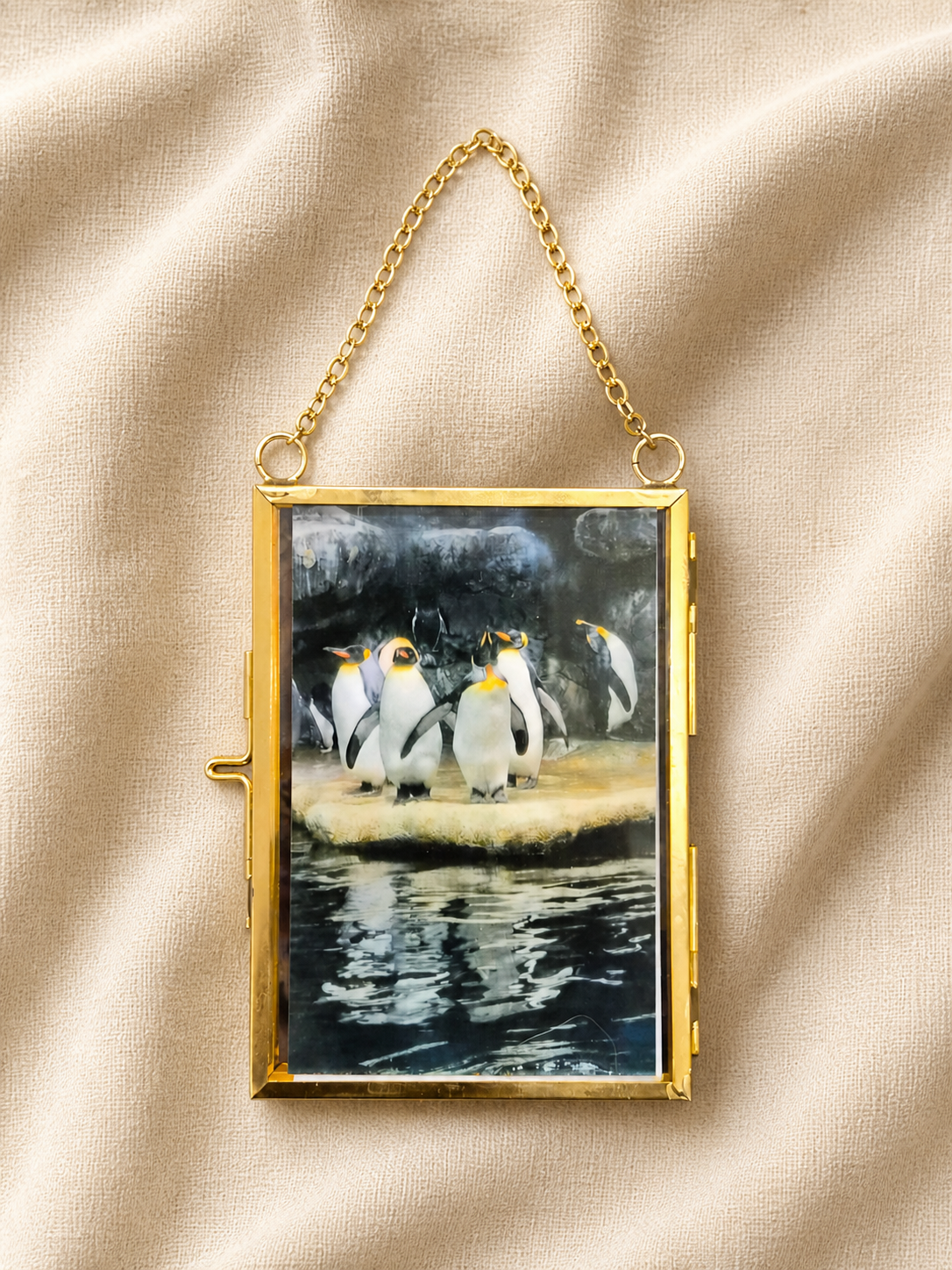 Penguin Suite — Double-Sided Counterpoints Diffraction Grating Photo Set ("Tuxedo" + "After Hours")